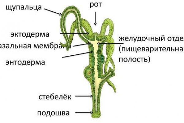 Мега или кракен