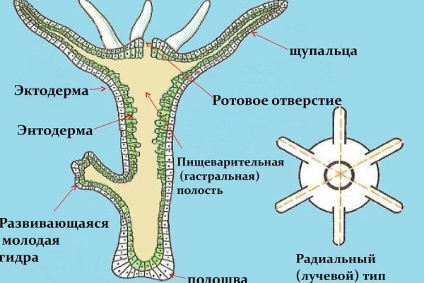Что за площадка кракен