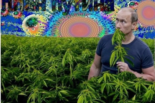 Кракен магазин kraken4am com