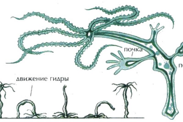 Кракен дарк оригинал ссылка