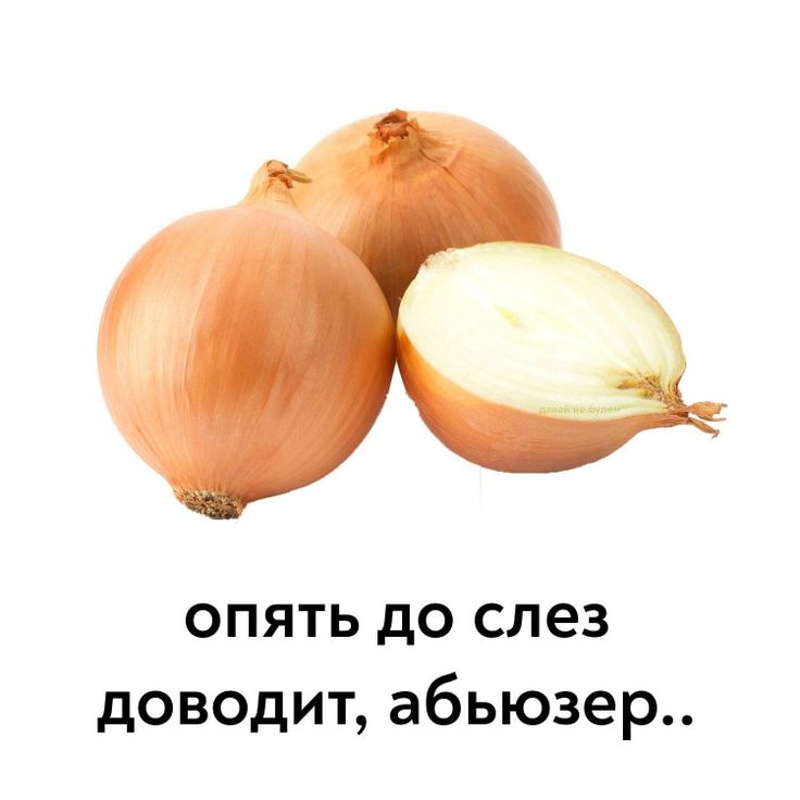 Ссылка на кракен на сегодня